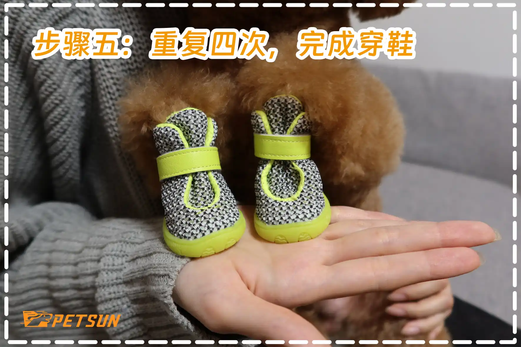 How to Wear Dog Shoes